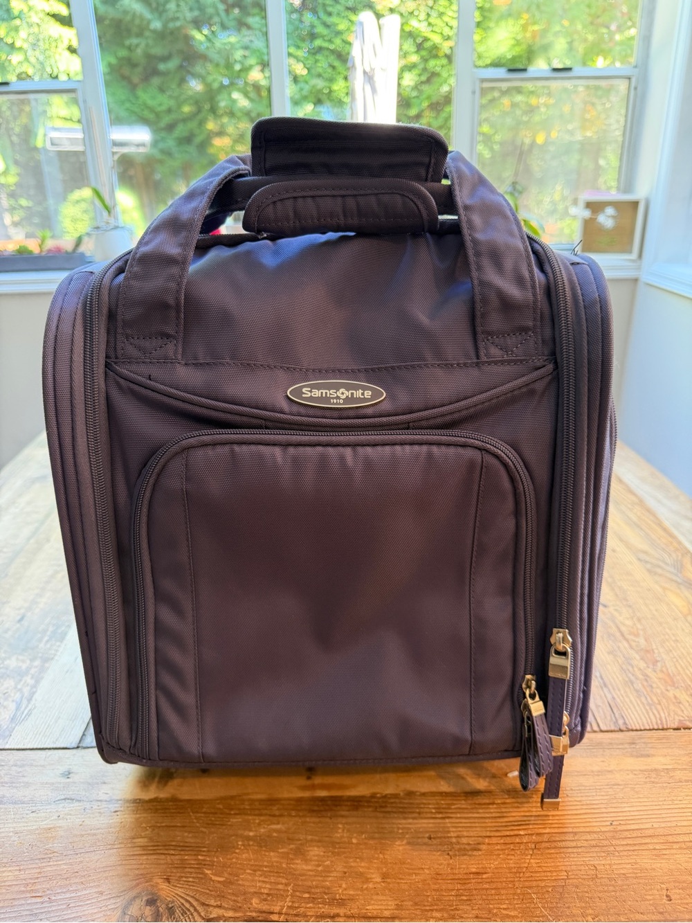 Samsonite Travel Organizer Bag in Deep Purple
